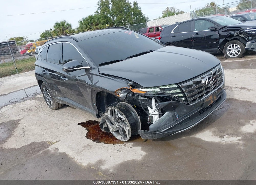 2024 HYUNDAI TUCSON LIMITED VIN: 5NMJECDE5RH306668