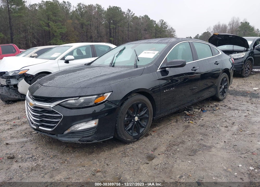2019 CHEVROLET MALIBU LT VIN: 1G1ZD5ST8KF140256
