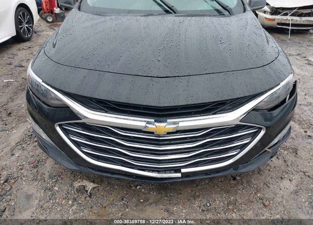 2019 CHEVROLET MALIBU LT VIN: 1G1ZD5ST8KF140256