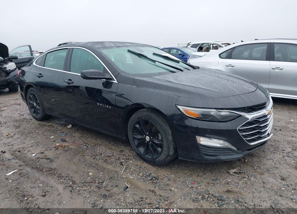 2019 CHEVROLET MALIBU LT VIN: 1G1ZD5ST8KF140256
