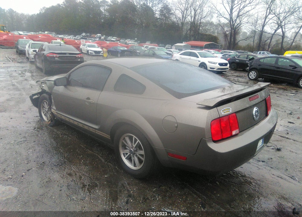 2005 FORD MUSTANG V6 DELUXE/V6 PREMIUM VIN: 1ZVFT80N255178768