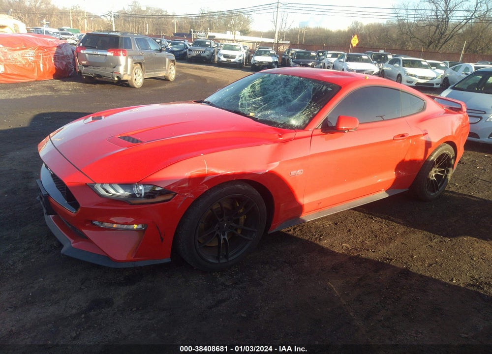2019 FORD MUSTANG VIN: 1FA6P8CFXK5203073