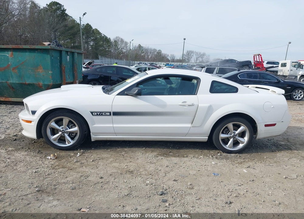 2007 FORD MUSTANG GT DELUXE/GT PREMIUM VIN: 1ZVHT82H575319416