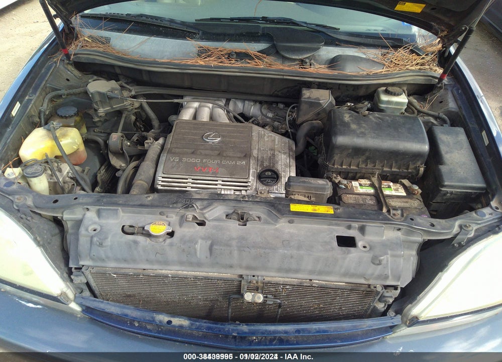 2002 LEXUS RX 300 BASE (A4) VIN: JTJGF10UX20142765