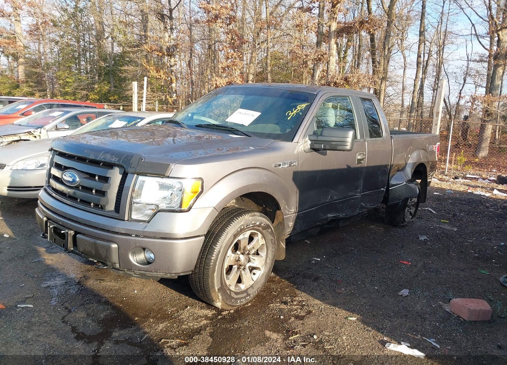 2012 FORD F-150 STX VIN: 1FTFX1EF7CFA01317