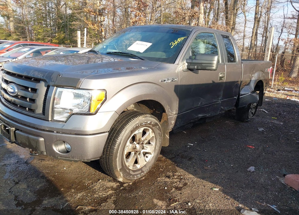 2012 FORD F-150 STX VIN: 1FTFX1EF7CFA01317