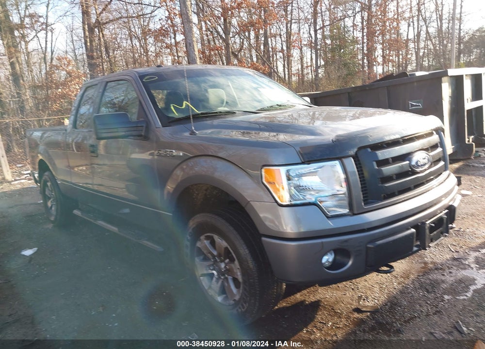 2012 FORD F-150 STX VIN: 1FTFX1EF7CFA01317