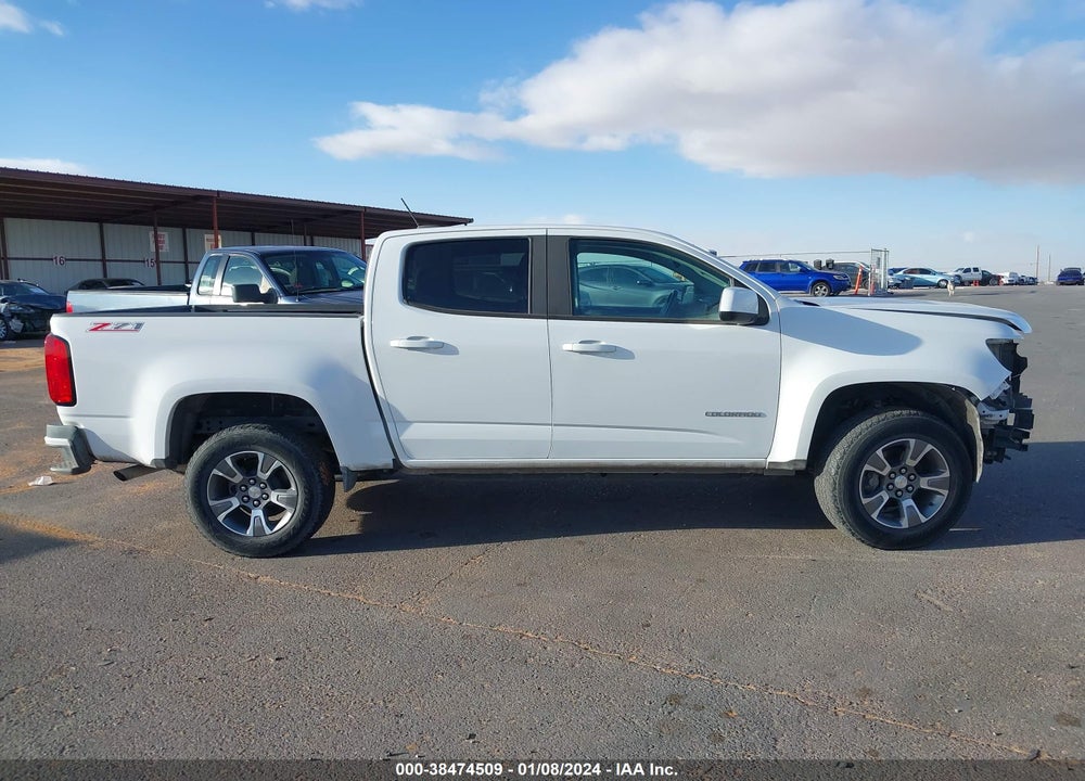 2019 CHEVROLET COLORADO Z71 VIN: 1GCGSDEN8K1204000