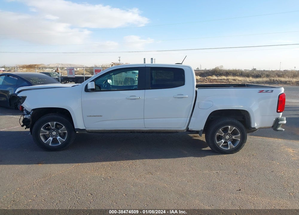 2019 CHEVROLET COLORADO Z71 VIN: 1GCGSDEN8K1204000