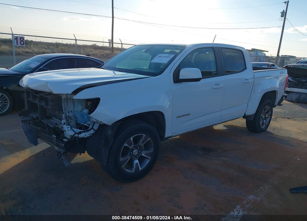 2019 CHEVROLET COLORADO Z71 VIN: 1GCGSDEN8K1204000