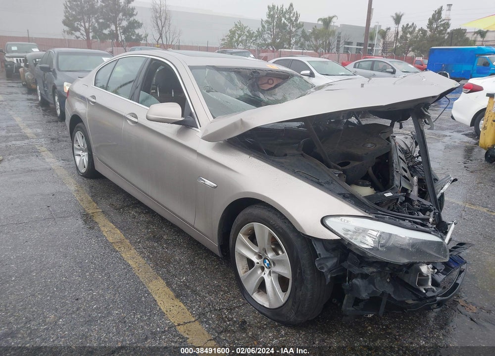 2013 BMW 528I VIN: WBAXG5C50DDY37910