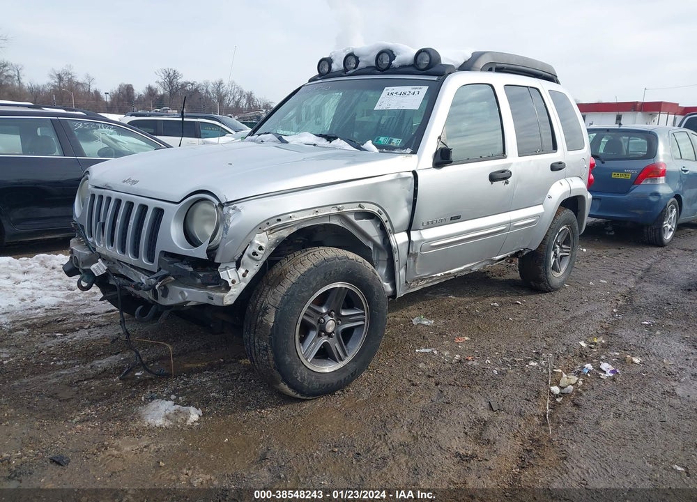 2003 JEEP LIBERTY RENEGADE VIN: 1J4GL38KX3W667294
