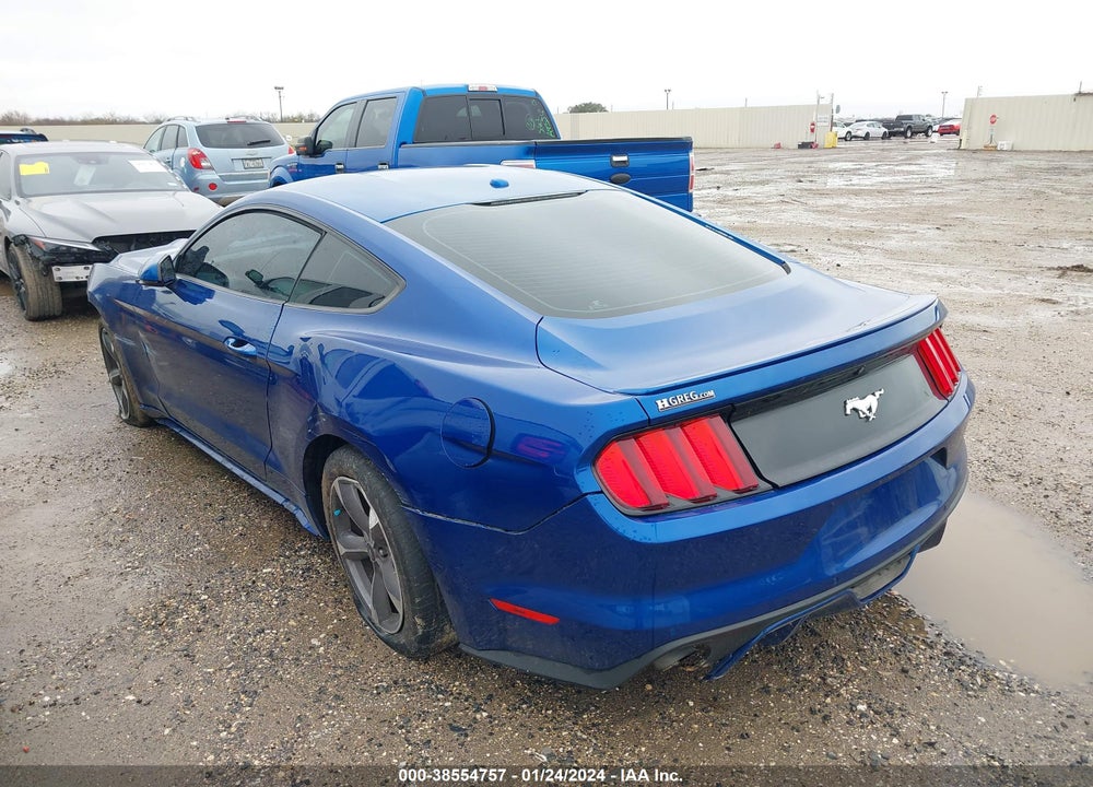 2017 FORD MUSTANG ECOBOOST VIN: 1FA6P8TH8H5329975