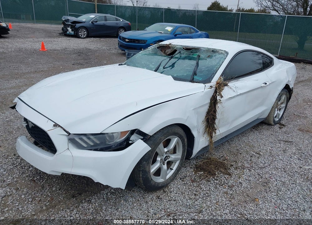 2017 FORD MUSTANG V6 VIN: 1FA6P8AM7H5255898