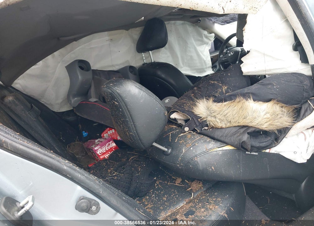 2019 INFINITI Q50 VIN: JN1EV7AP1KM513249