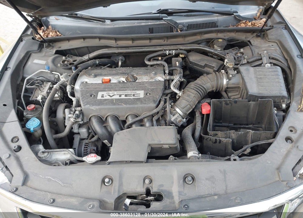 2013 HONDA CROSSTOUR EX-L VIN: 5J6TF3H50DL005937