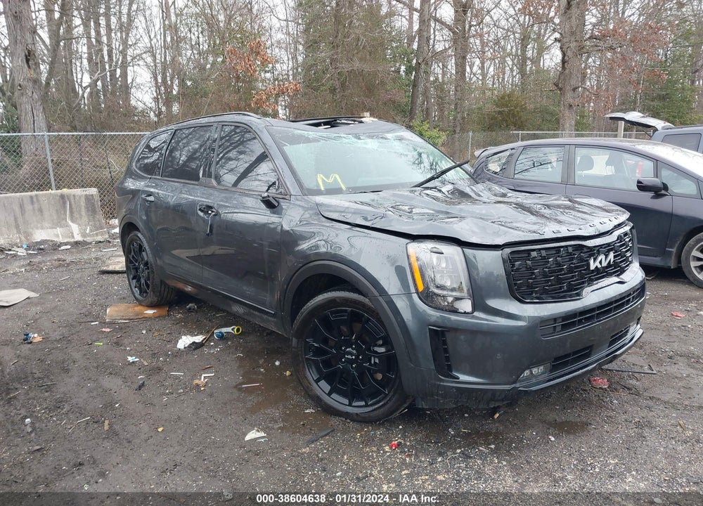 2022 KIA TELLURIDE SX VIN: 5XYP5DHC0NG308499