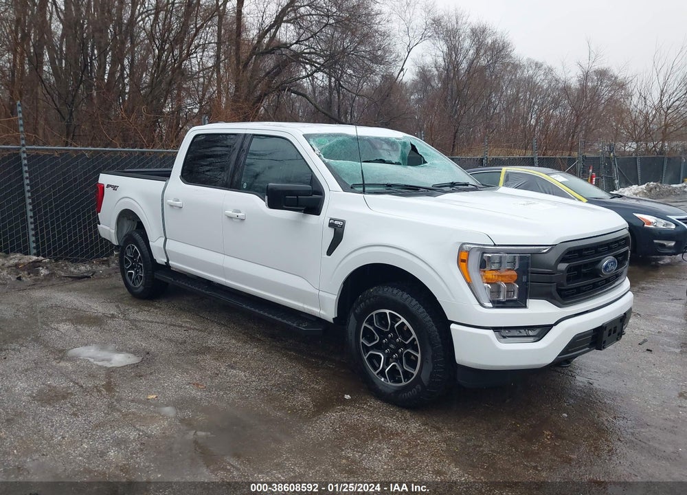 2023 FORD F-150 XLT VIN: 1FTFW1E50PFA65179