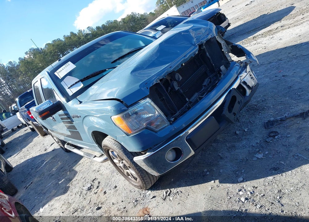 2010 FORD F-150 XL/XLT VIN: 1FTEW1C85AFA03325