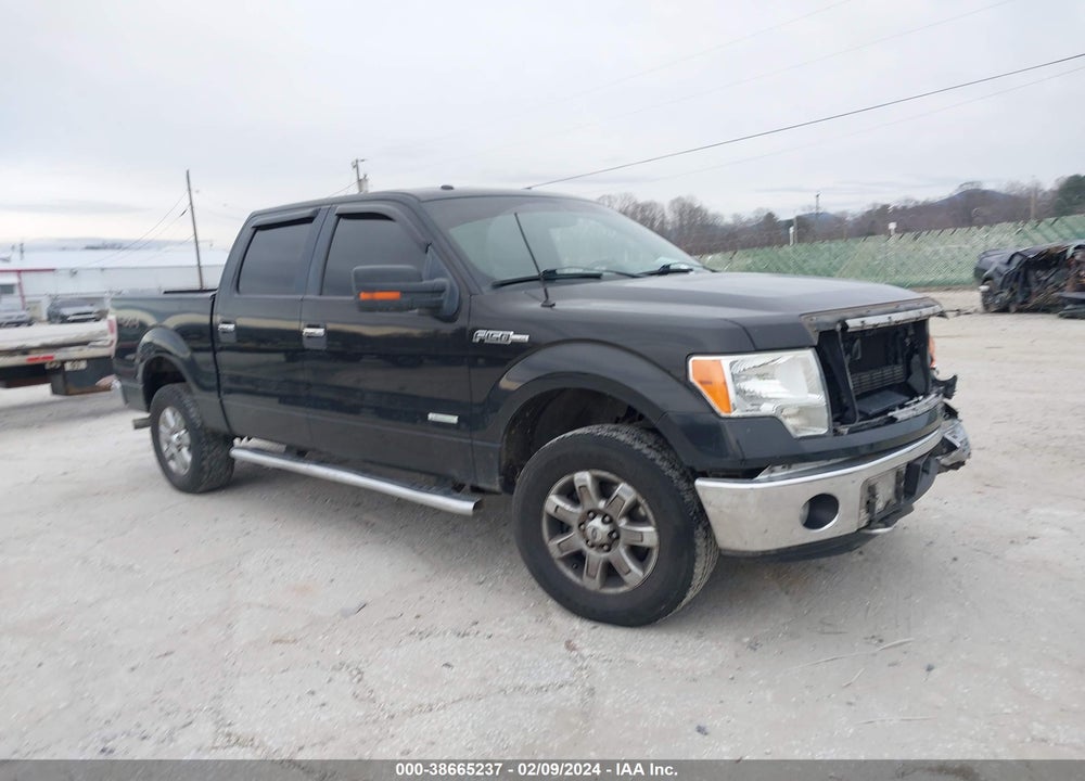 2014 FORD F-150 XLT VIN: 1FTFW1ET7EFB43971