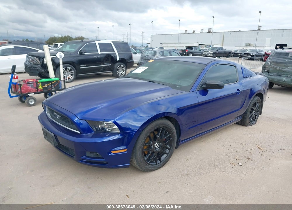 2014 FORD MUSTANG VIN: 1ZVBP8AM5E5288013