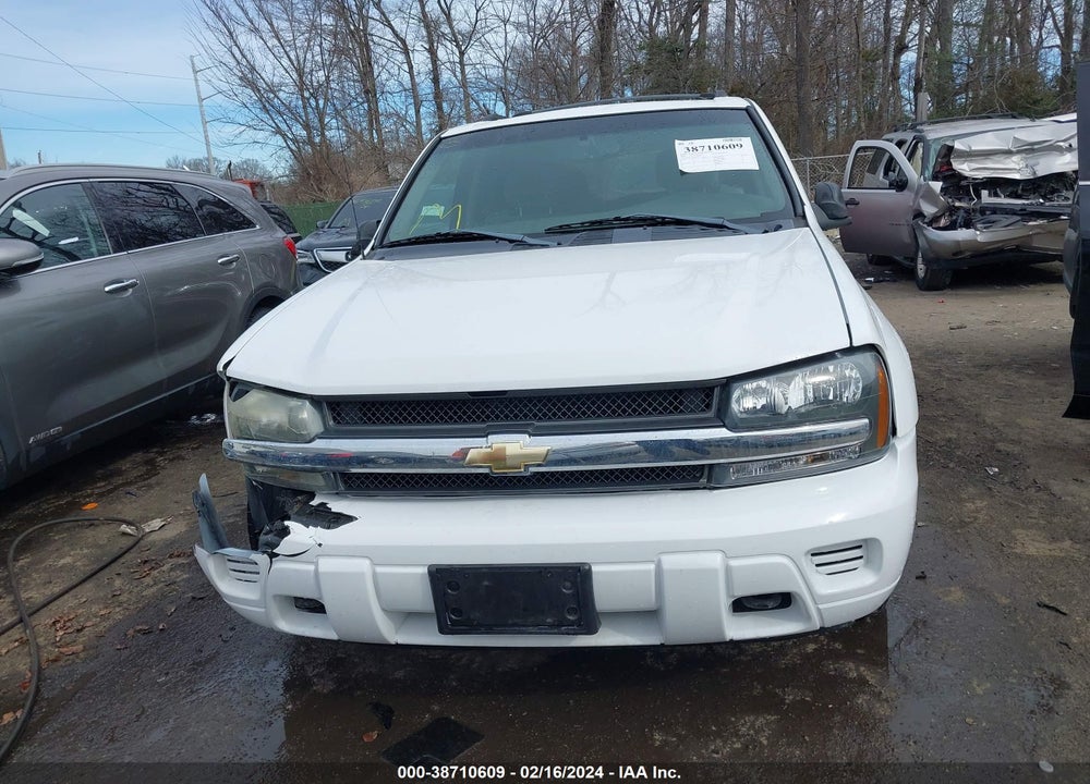 2002 CHEVROLET TRAILBLAZER LS VIN: 1GNDT13S822420955
