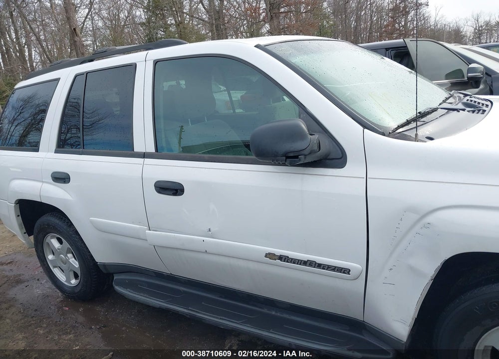 2002 CHEVROLET TRAILBLAZER LS VIN: 1GNDT13S822420955