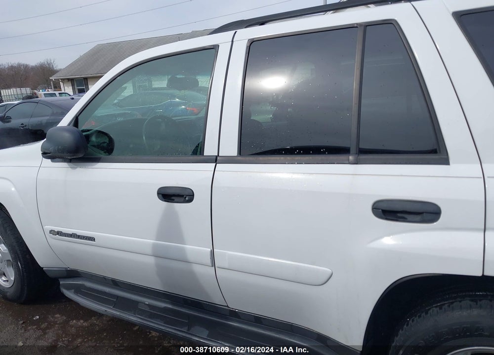 2002 CHEVROLET TRAILBLAZER LS VIN: 1GNDT13S822420955