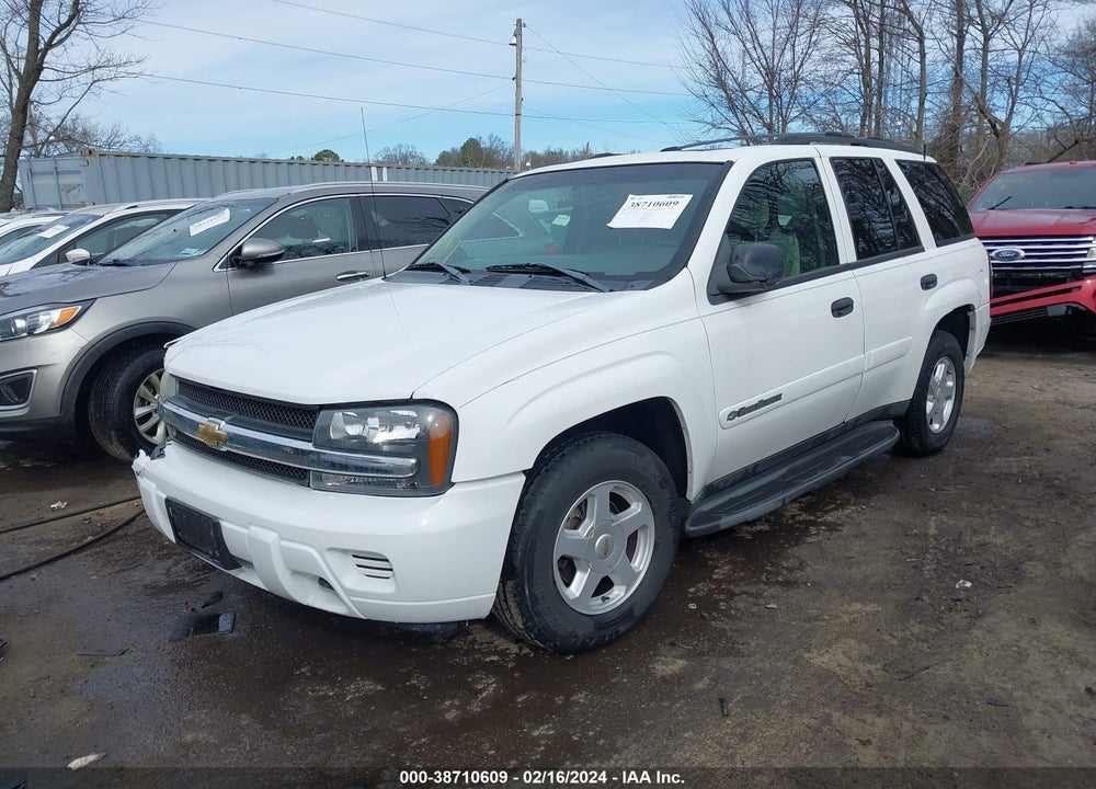 2002 CHEVROLET TRAILBLAZER LS VIN: 1GNDT13S822420955