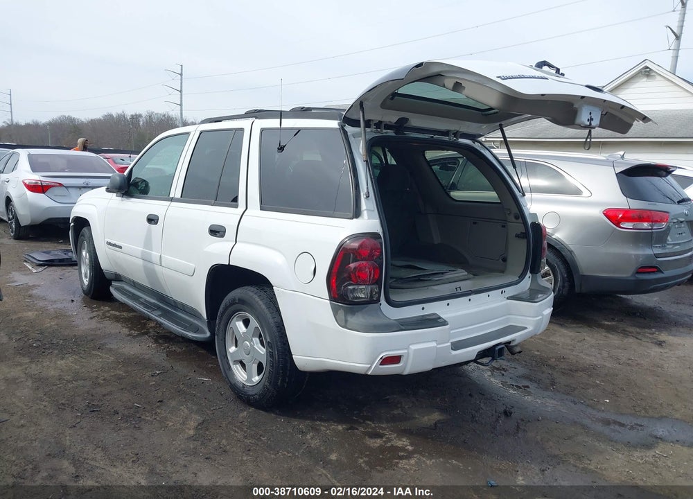 2002 CHEVROLET TRAILBLAZER LS VIN: 1GNDT13S822420955