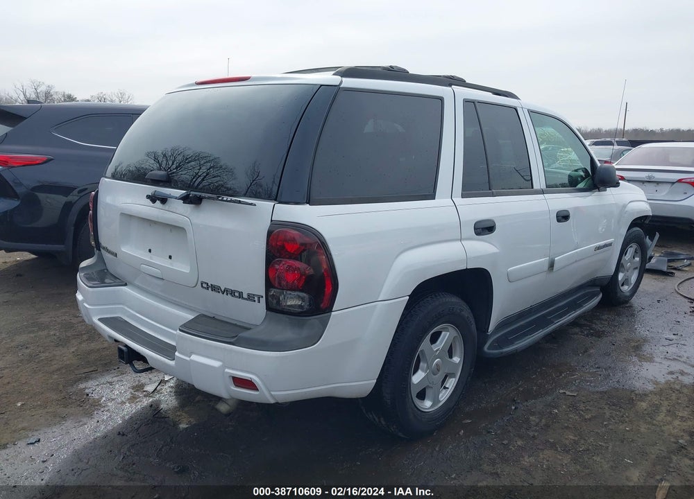 2002 CHEVROLET TRAILBLAZER LS VIN: 1GNDT13S822420955
