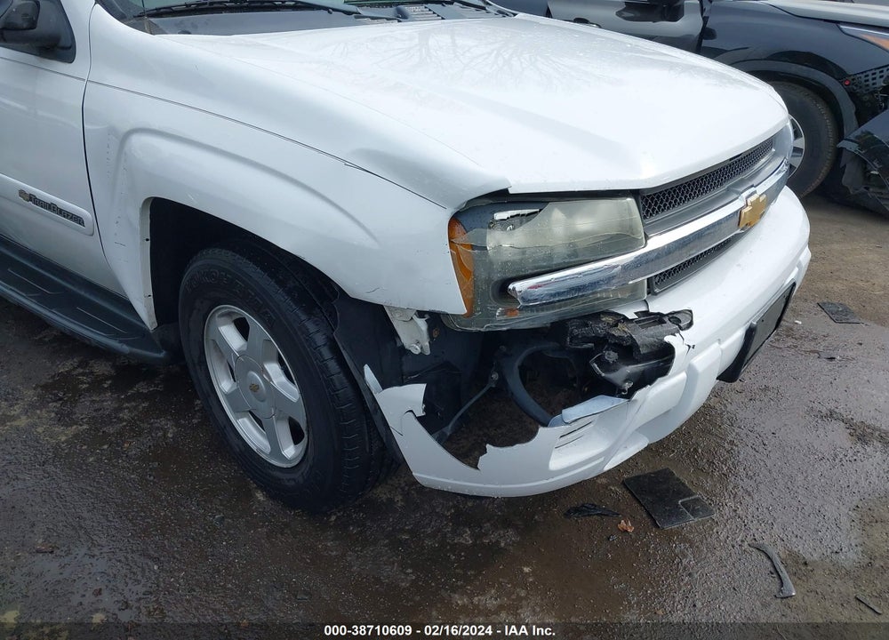 2002 CHEVROLET TRAILBLAZER LS VIN: 1GNDT13S822420955