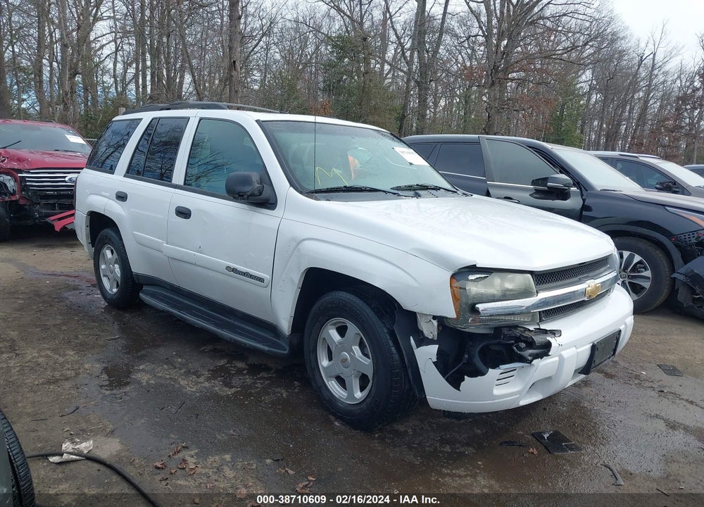 2002 CHEVROLET TRAILBLAZER LS VIN: 1GNDT13S822420955