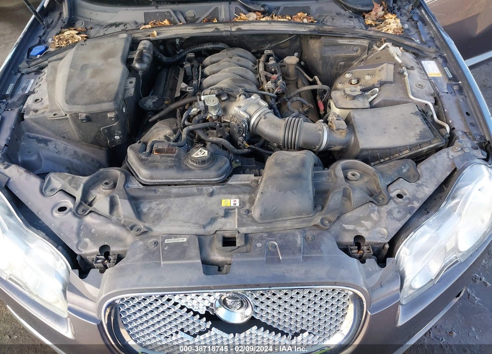 2009 JAGUAR XF VIN: SAJWA06B89HR43513
