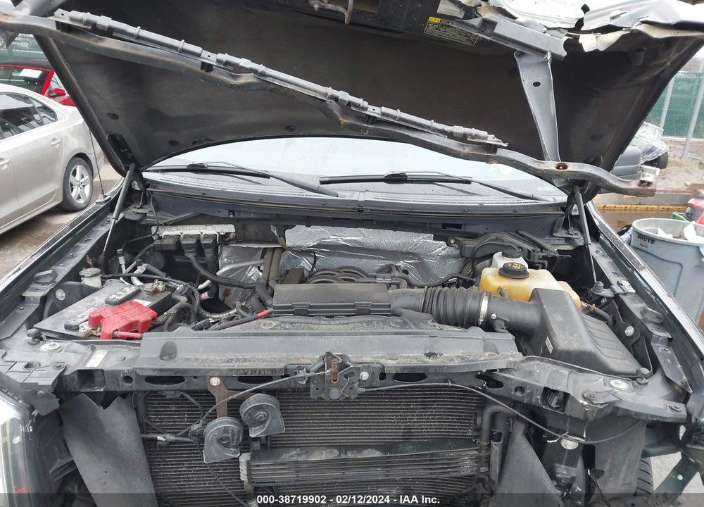 2013 FORD F-150 STX VIN: 1FTFX1EF5DKF48823