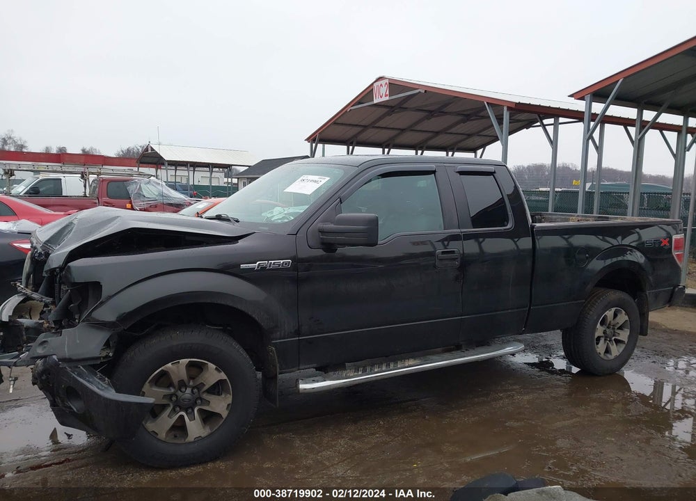 2013 FORD F-150 STX VIN: 1FTFX1EF5DKF48823