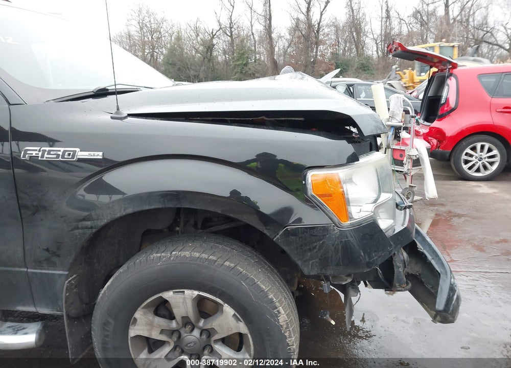 2013 FORD F-150 STX VIN: 1FTFX1EF5DKF48823