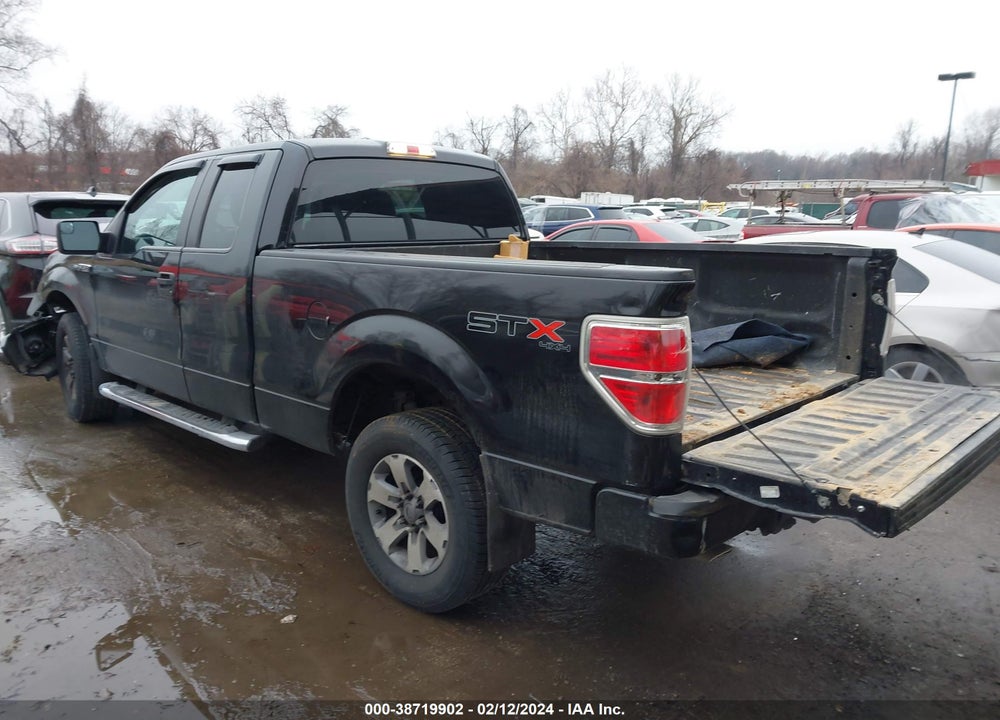 2013 FORD F-150 STX VIN: 1FTFX1EF5DKF48823