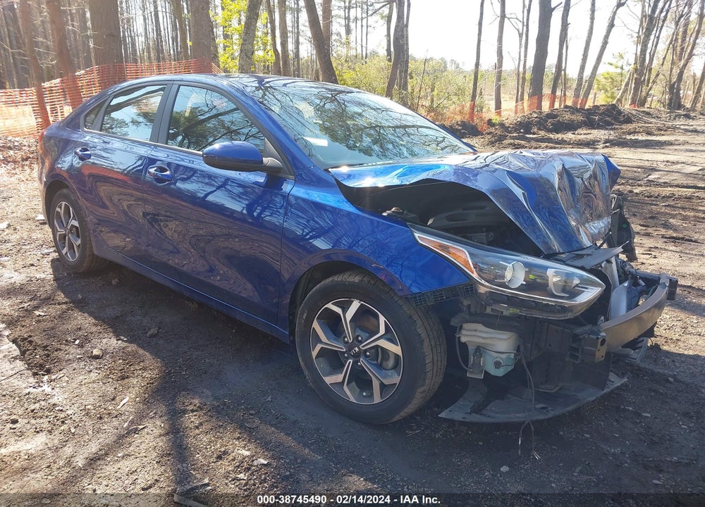 2019 KIA FORTE LXS VIN: 3KPF24AD3KE013607