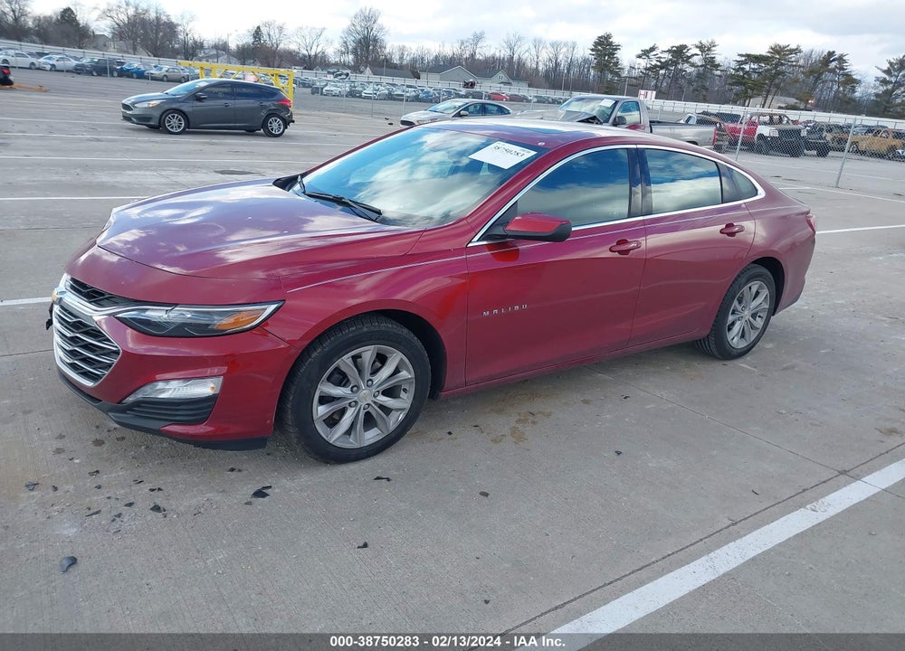 2019 CHEVROLET MALIBU LT VIN: 1G1ZD5ST1KF115988