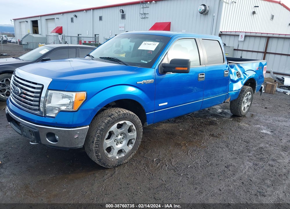 2012 FORD F-150 XLT VIN: 1FTFW1ETXCFB89307