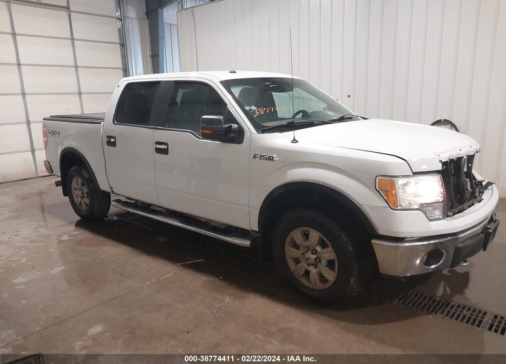 2011 FORD F-150 XLT VIN: 1FTFW1EF8BFA73824