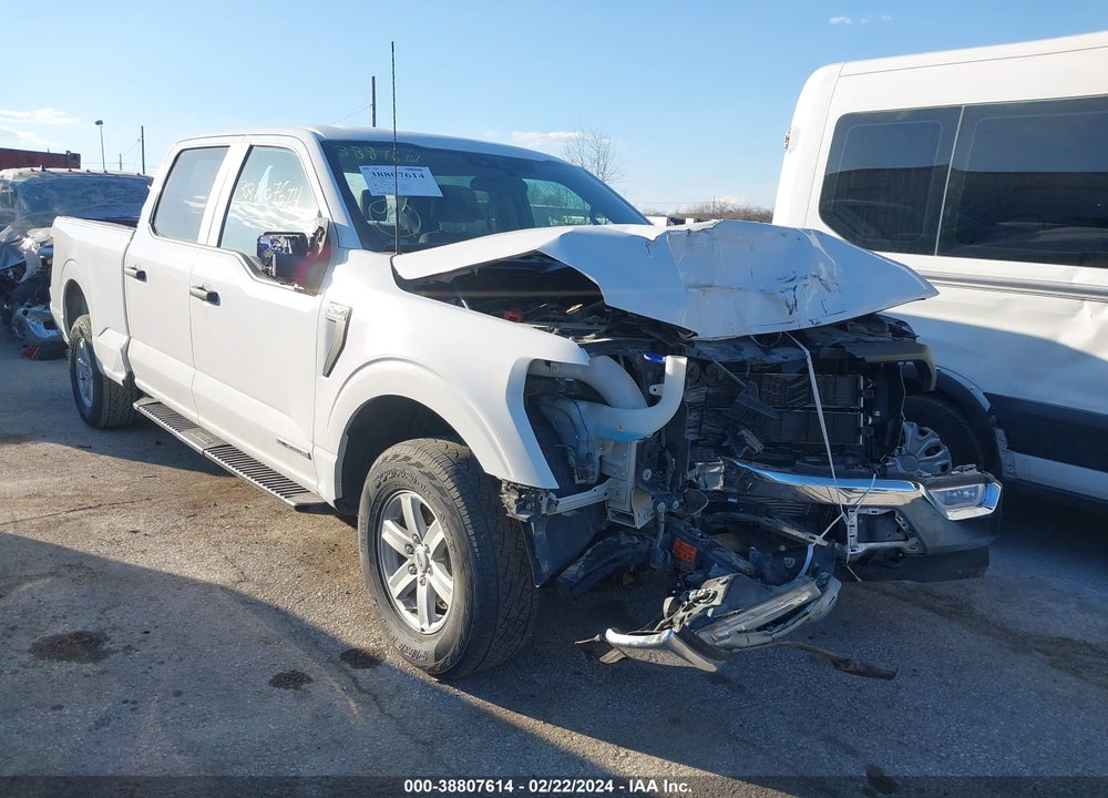 2021 FORD F-150 XL VIN: 1FTFW1ED2MFB95810