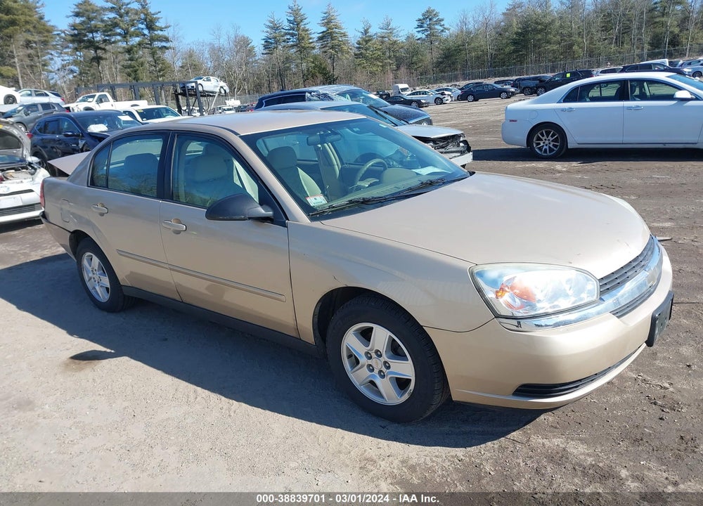 2004 CHEVROLET MALIBU LS VIN: 1G1ZT528X4F146058