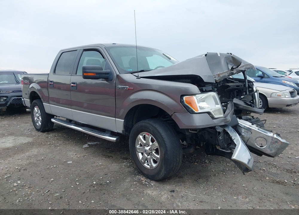 2013 FORD F-150 XLT VIN: 1FTFW1EFXDFC38940
