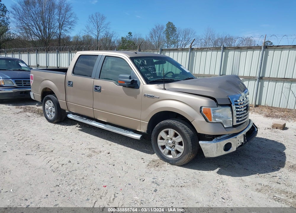 2011 FORD F-150 XLT VIN: 1FTFW1CF3BFA85107