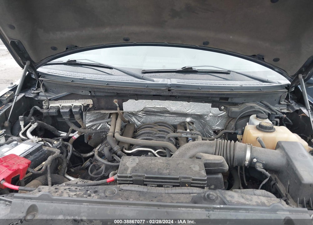 2013 FORD F-150 XLT VIN: 1FTFX1EF8DKD04678