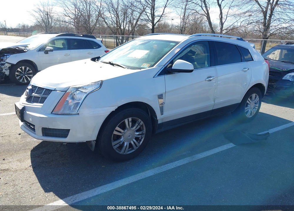 2011 CADILLAC SRX LUXURY COLLECTION VIN: 3GYFNAEY3BS515967