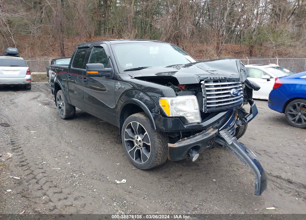 2012 FORD F-150 HARLEY-DAVIDSON VIN: 1FTFW1E60CFB90251