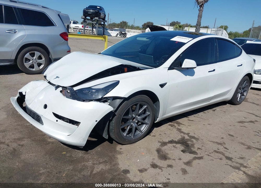 2022 TESLA MODEL 3 REAR-WHEEL DRIVE VIN: 5YJ3E1EA3NF101225
